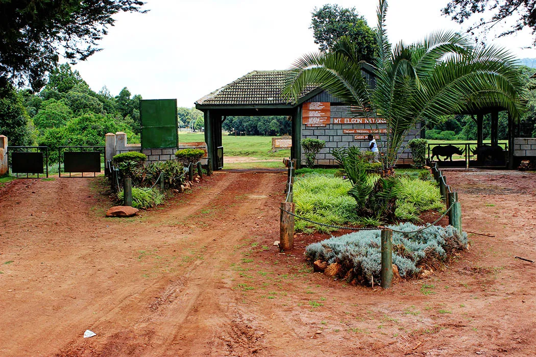 Mt-Elgon-National-Park_Giant_Holiday_Safaris