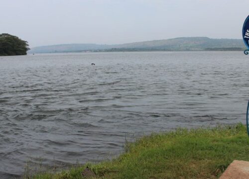 Nile River, the longest river in the world