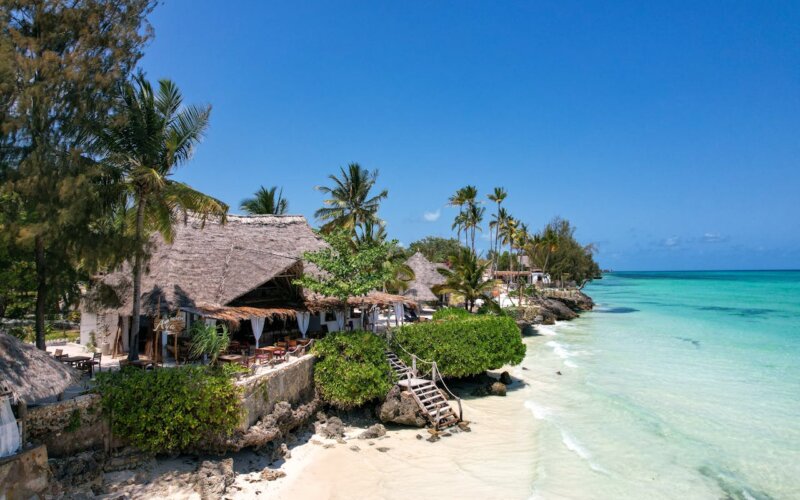 Tanzania Luxury Wildlife Tour