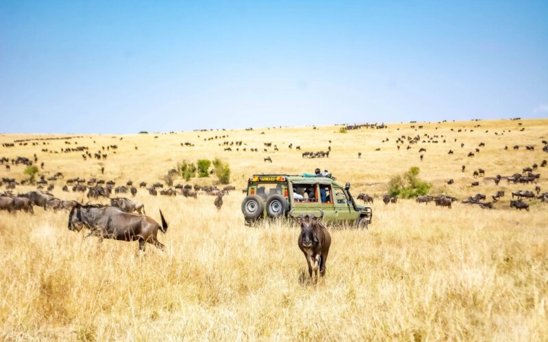 Kenya Adventure Safari Kenya Adventure Tours