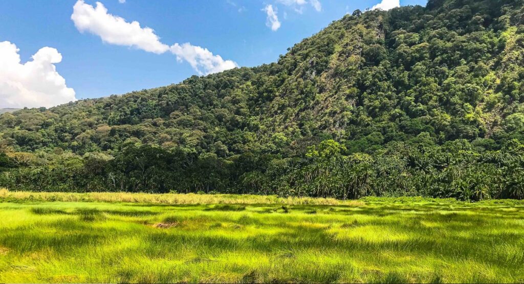 Semuliki National Park