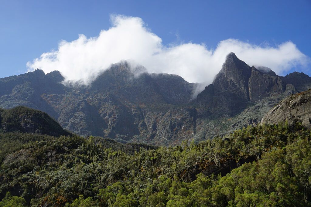 Rwenzori Mountains National Park