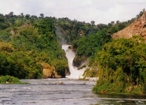 Things to do on a Honeymoon tour in Murchison Falls National Park