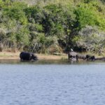 Lake Ihema Akagera