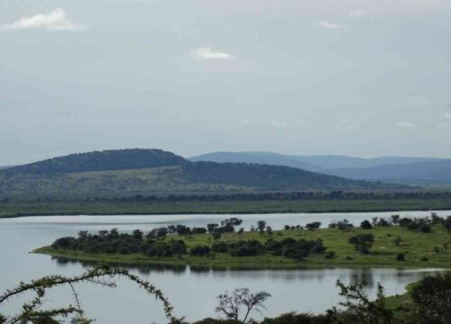 Lake Shakani in Akagera National Park Rwanda