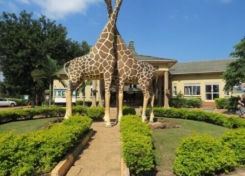 What to do in Entebbe Uganda