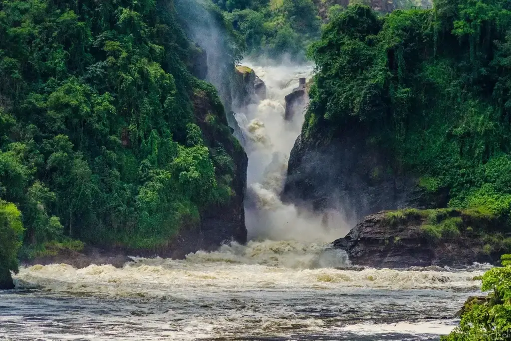 Queen Elizabeth or Murchison Falls