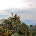 Trekking Rwenzori mountains