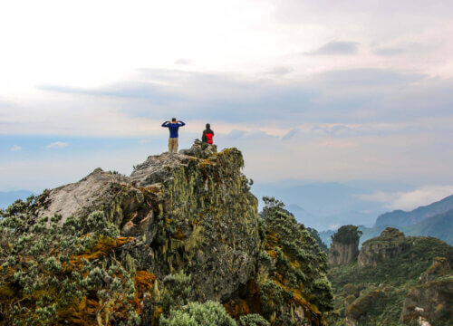 Trekking Rwenzori mountains