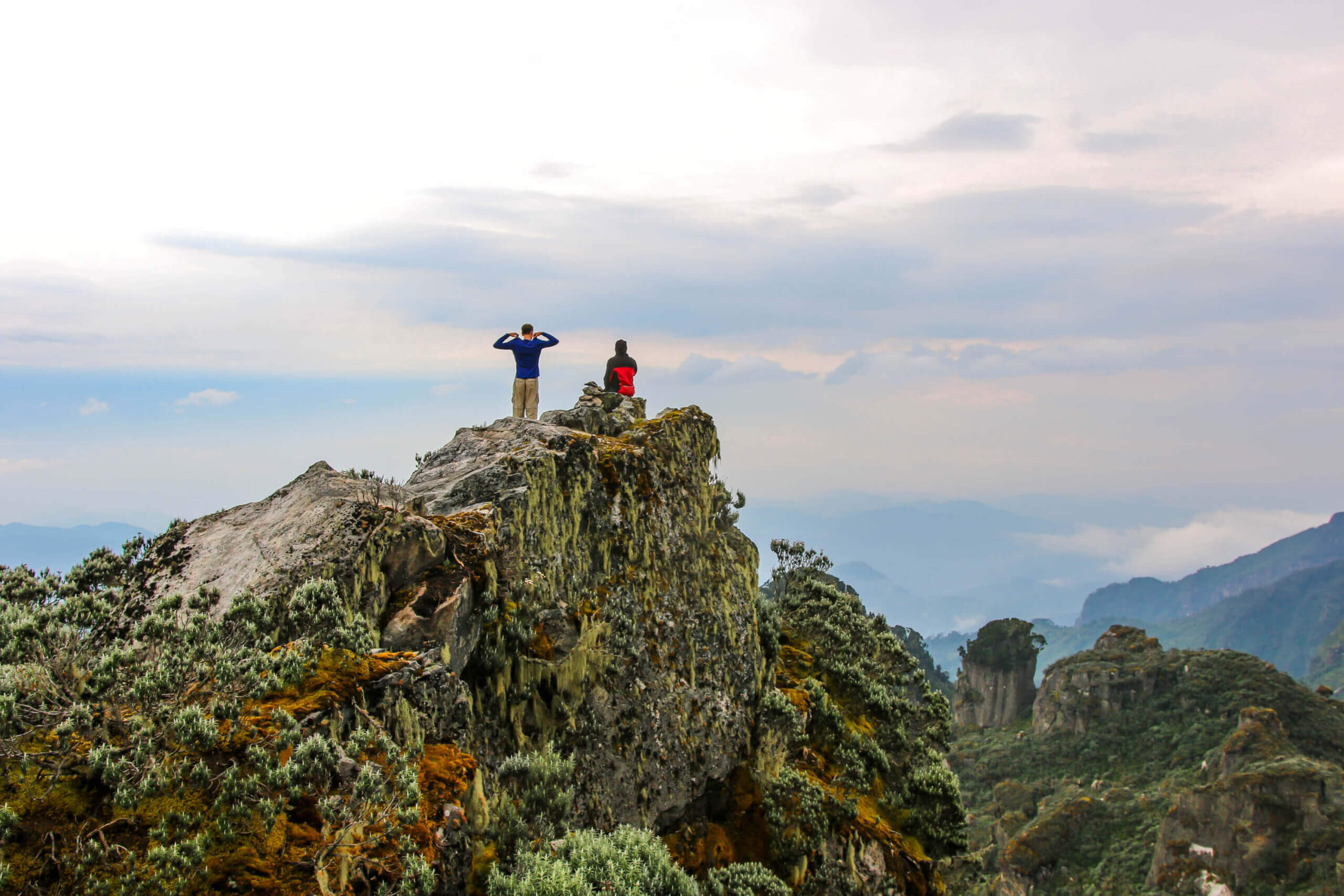 Trekking Rwenzori mountains