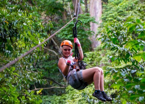 Zip Lining in Mabira Forest