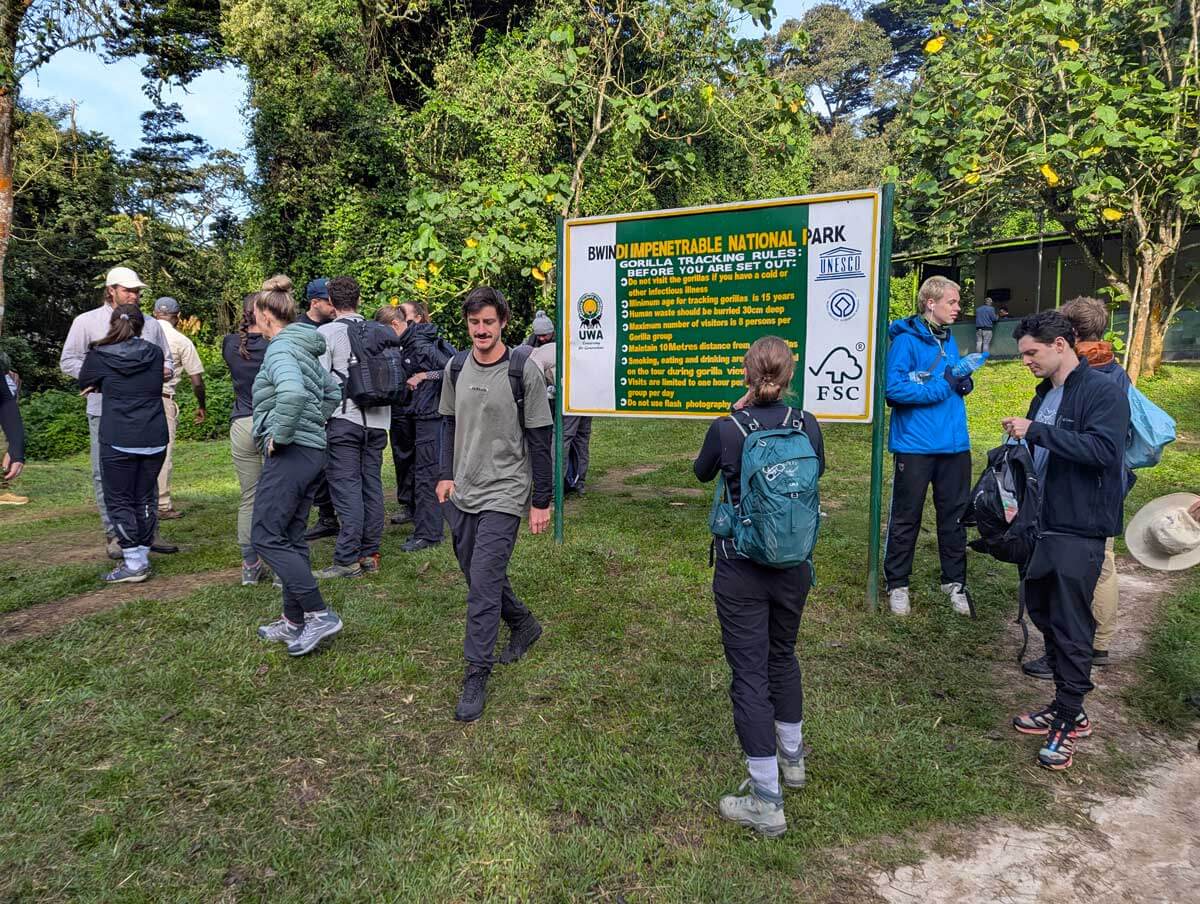 Best Sector for Gorilla Trekking