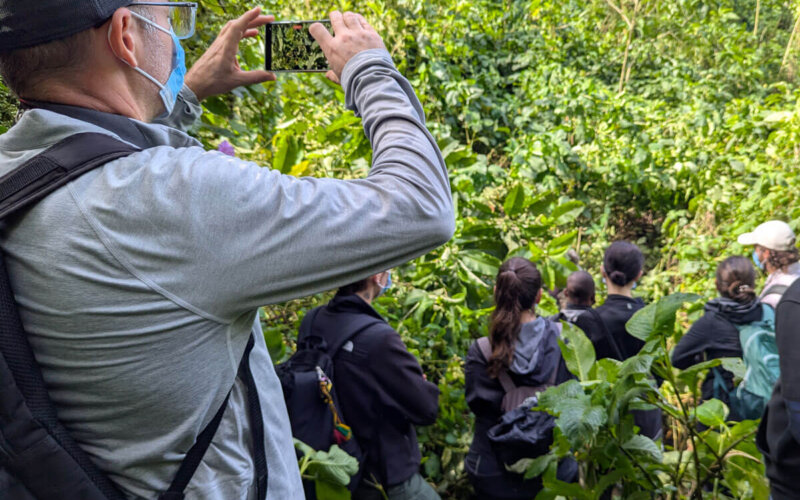 What to Pack for Gorilla Trekking Uganda Gorilla Safaris
