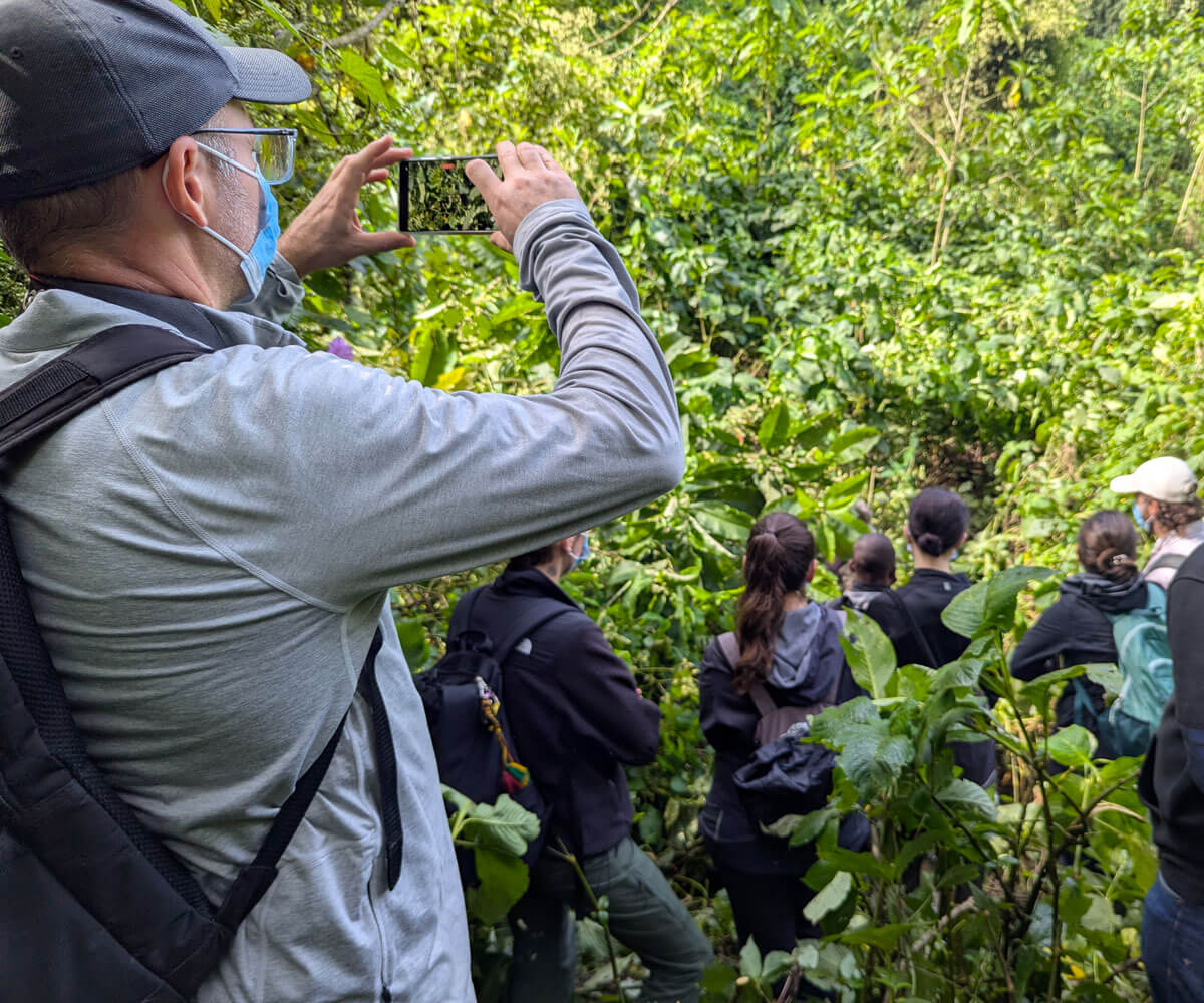 Uganda Gorilla Safaris