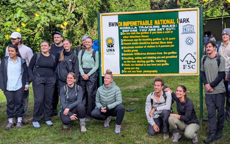 Gorillas and Chimpanzees Trekking in Uganda Gorillas and Chimpanzees Trekking in Uganda