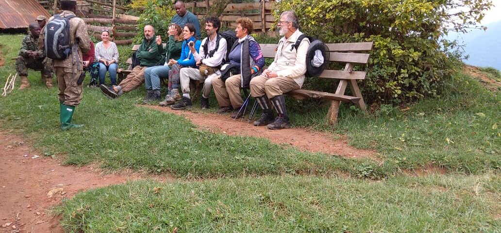 Best Sector for Gorilla Trekking in Bwindi