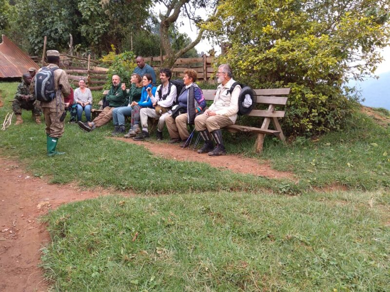 Best Sector for Gorilla Trekking in Bwindi
