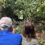 Things to do in Bwindi Impenetrable National Park