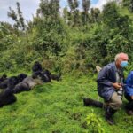 gorilla trekking for elder persons
