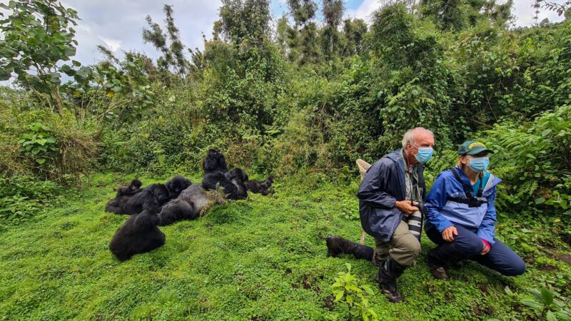 gorilla trekking for elder persons