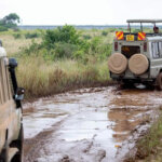 safari during the rainy season in Uganda