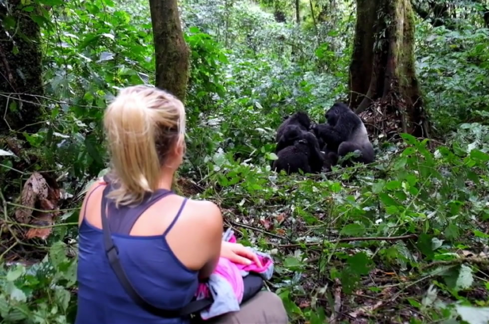 Can I Combine Gorilla Trekking with Other Tour Activities