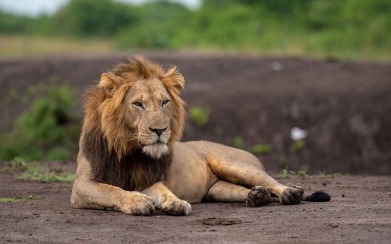 18-Days-Best-Uganda-Adventure-Safaris 18 Days Best Uganda Adventure Safaris