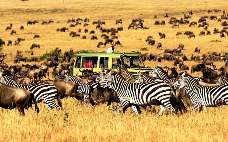 7 Day Kenya Wildlife Adventure 7 Day Kenya Wildlife Adventure