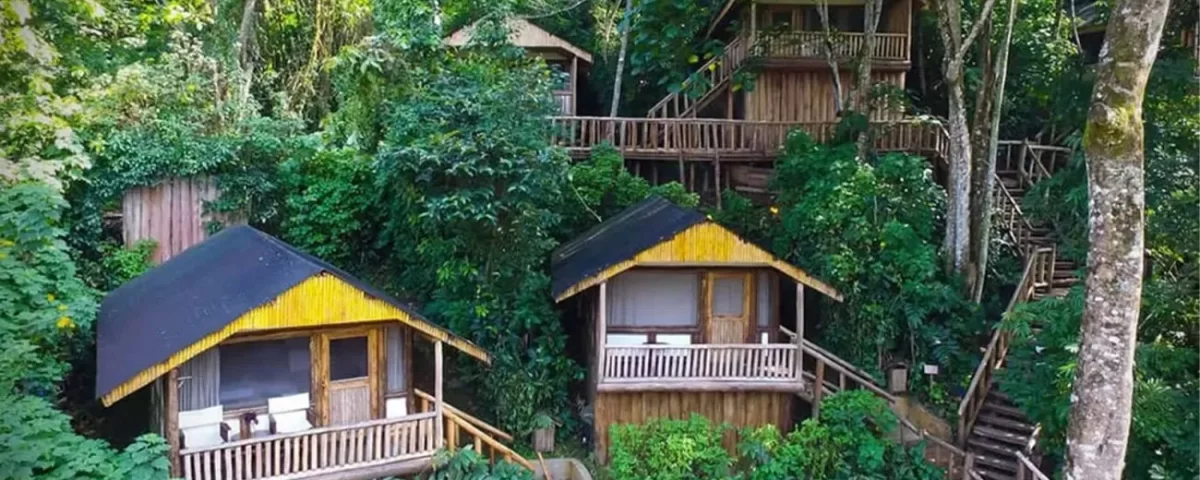 Best Budget Lodges in Bwindi Impenetrable National Park