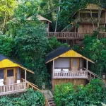Best Budget Lodges in Bwindi Impenetrable National Park