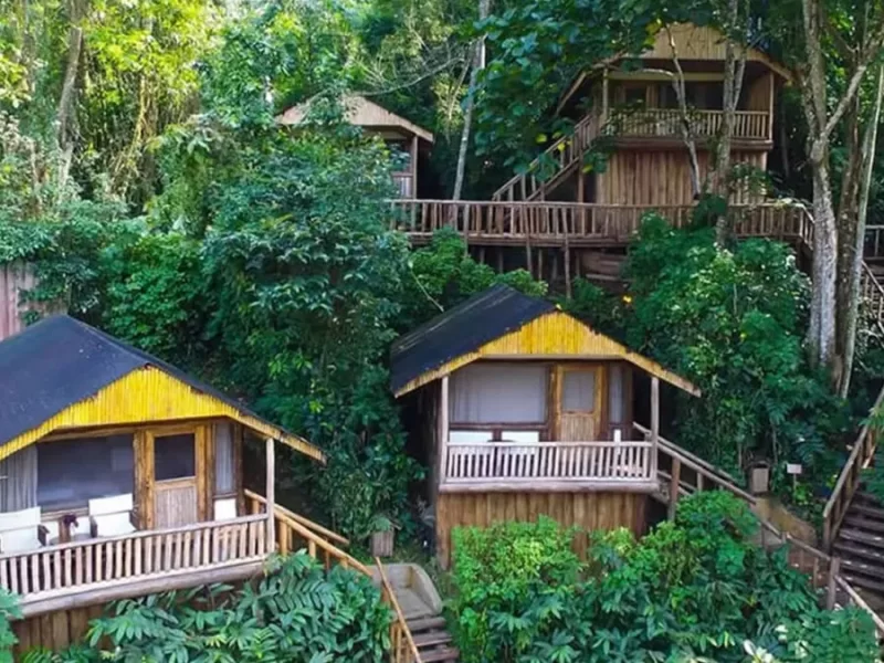 Best Budget Lodges in Bwindi Impenetrable National Park