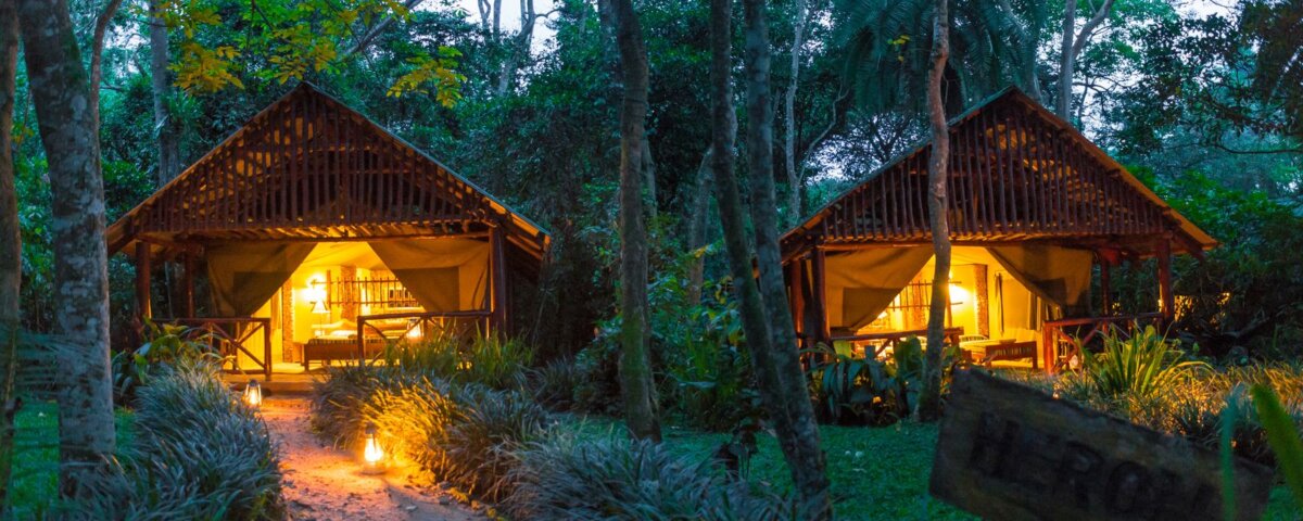 Best Budget lodges in Kibale National Park