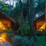 Best Budget lodges in Kibale National Park