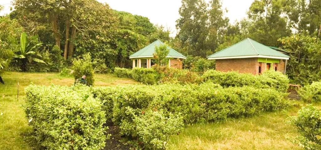 Budget Lodges in Mgahinga Gorilla National Park