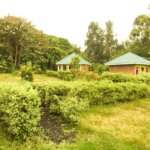 Budget Lodges in Mgahinga Gorilla National Park