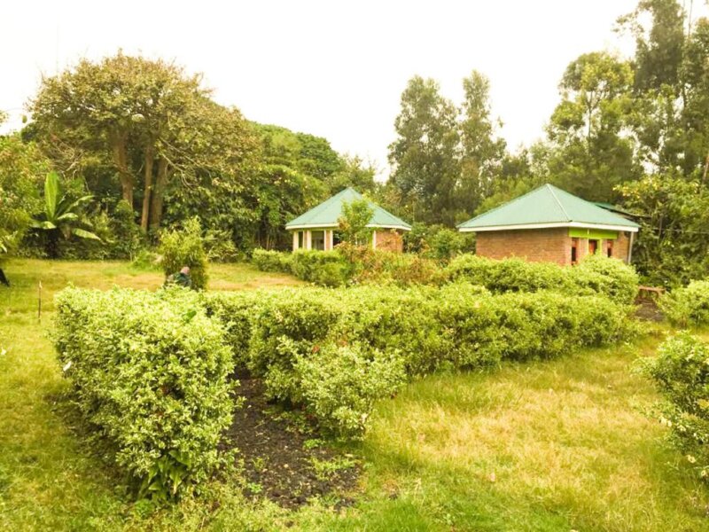 Budget Lodges in Mgahinga Gorilla National Park