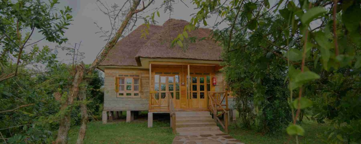 Budget lodges in Queen Elizabeth National Park