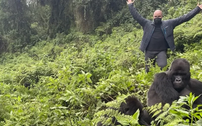 Gorilla Trekking Safaris Rwanda Gorilla Trekking Safaris Rwanda