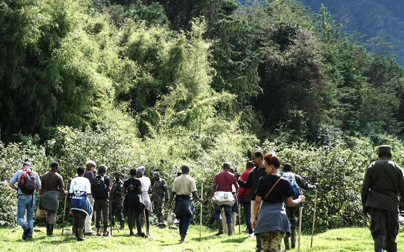 Hiking and Nature Walk Safaris in Rwanda Hiking and Nature Walk Safaris in Rwanda
