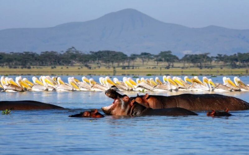 Lake Naivasha Lake Naivasha