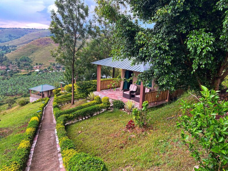 Mid range lodges in Lake Mburo National Park