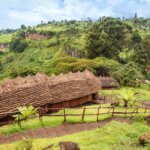 Mid range lodges in Mount Elgon National Park