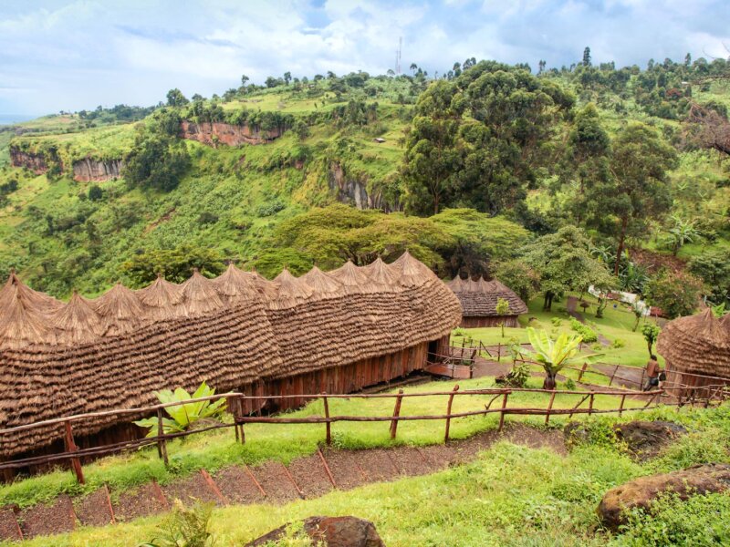 Mid range lodges in Mount Elgon National Park