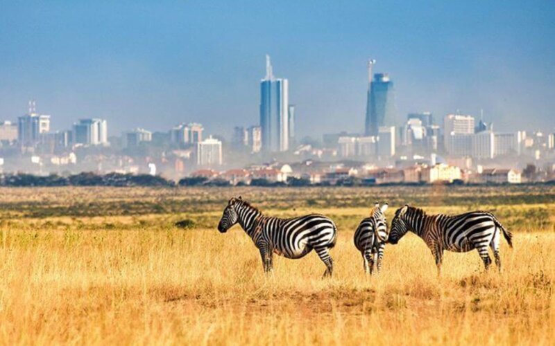 Nairobi National Park Nairobi National Park
