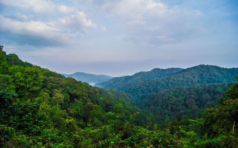 Rwanda-Safaris - 6-Days-Best-of-Rwanda-Safari Rwanda-Safaris - 6-Days-Best-of-Rwanda-Safari