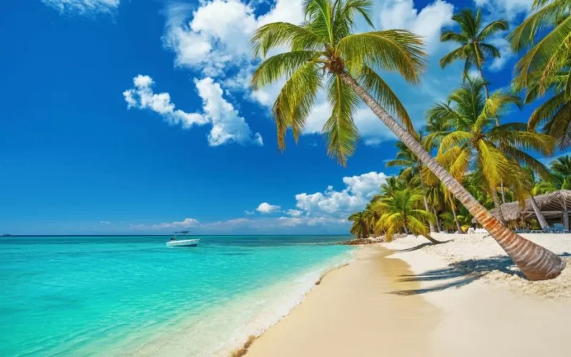 Tanzania Wildlife and Zanzibar Beach Safari