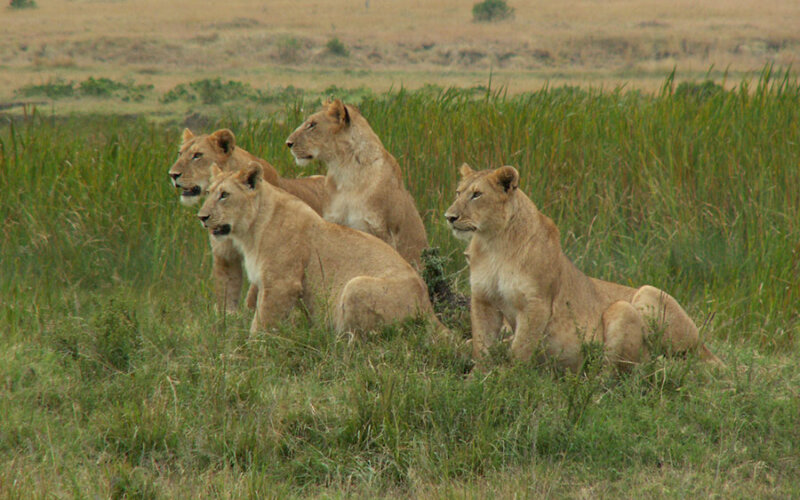 Tsavo National Park – East & West Tsavo National Park – East & West