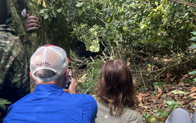 3 Day Uganda Gorilla Trekking Tour