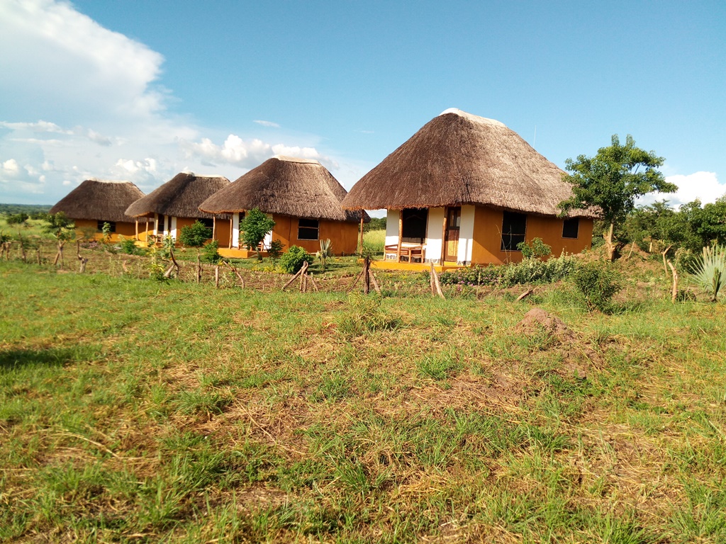 2-Day Murchison Falls Wildlife Safari - Hornbill Bush Lodge