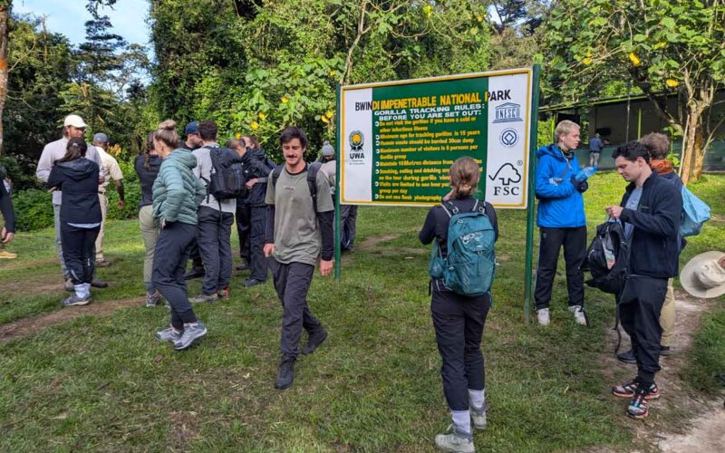 3 Day Uganda Gorilla Trekking Tour